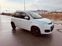 Gebraucht Fiat Panda Lounge 86 PS (63 kW) 2017 Weiß Kleinwagen