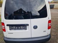 gebraucht VW Caddy Kasten Eco Profi 1.6 TDI Klima TÜV 02/2025 1. Hand