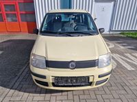 gebraucht Fiat Panda 1.1 8V Active *EXPOPRT*