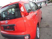 gebraucht Fiat Panda 1.2 Start Stop Easy