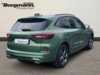 Gebraucht Ford Kuga ST-Line 151 PS (111 kW) 2025 Gruen SUV