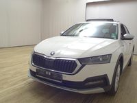Gebraucht Skoda Octavia 200 PS (147 kW) 2022 Weiss Kombi