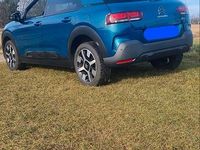 Gebraucht Citroën C4 Cactus Shine 110 PS (80 kW) 2019 Blau Kleinwagen