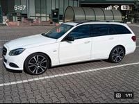 Gebraucht Mercedes E250 204 PS (150 kW) 2016 Weiß Kombi