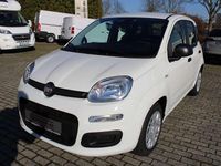 Neu Fiat Panda 69 PS (50 kW) 2025 Weiß Kleinwagen