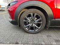 Gebraucht Mazda CX-30 2020 Rot SUV