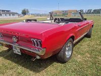 Gebraucht Ford Mustang 200 PS (147 kW) 1967 Rot Cabrio