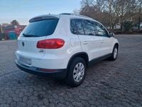 Gebraucht VW Tiguan Cup 122 PS (89 kW) 2014 Weiß SUV