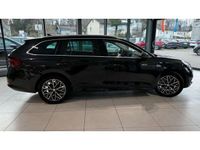 gebraucht Skoda Octavia Combi 1.5TSI FirstEdition*AHK*Navi*LED*