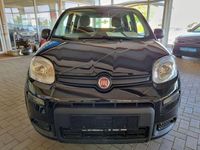 Gebraucht Fiat Panda 71 PS (52 kW) 2024 Schwarz Kleinwagen
