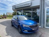 gebraucht Skoda Fabia 1.0 TSI Soleil GRA KLIMAAUTOMATIK SHZG