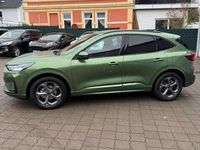 Neu Ford Kuga ST-Line 186 PS (136 kW) 2025 Grün SUV