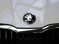 Neu Skoda Fabia Selection 116 PS (85 kW) 2025 Weiß Kleinwagen