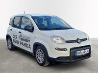 Gebraucht Fiat Panda 69 PS (50 kW) 2024 Weiss Limousine