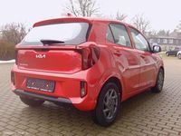 Neu Kia Picanto 68 PS (50 kW) 2025 Rot Kleinwagen