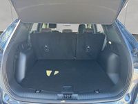 Gebraucht Ford Kuga ST-Line 150 PS (110 kW) 2024 Blau SUV