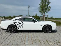 Käytetty Dodge Challenger 381 HP (280 kW) 2020 Valkoinen Coupe - kaksiovinen