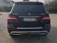 Gebraucht Mercedes ML350 258 PS (189 kW) 2012 Schwarz SUV