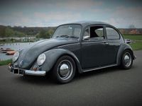 Gebraucht VW Käfer 50 PS (36 kW) 1968 Grau Limousine