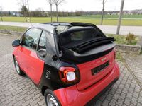 gebraucht Smart ForTwo Cabrio Basis 52 kW , Sitzheizung, Klimaautomatic,