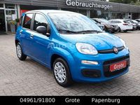 Neu Fiat Panda 69 PS (50 kW) 2025 Blau Kleinwagen