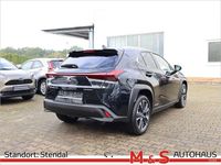 Gebraucht Lexus UX 184 PS (135 kW) 2022 Schwarz SUV