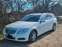 Gebraucht Mercedes E220 170 PS (125 kW) 2010 Weiß Kombi