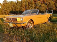 Gebraucht Ford V8 200 PS (147 kW) 1965 Cabrio