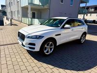 Gebraucht Jaguar F-Pace Prestige 241 PS (177 kW) 2019 Weiß SUV