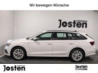 Gebraucht Skoda Octavia Ambition 204 PS (150 kW) 2022 Candyweiss Kombi