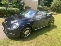 Gebraucht VW Beetle Cabriolet Design 105 PS (77 kW) 2014 Schwarz Cabrio