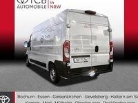 Gebraucht Toyota Proace 140 PS (102 kW) 2024 Weiß Van / Kleinbus