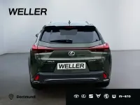 Neu Lexus UX 300h Sport Design Packet 199 PS (146 kW) 2026 Gruen SUV