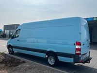 gebraucht Mercedes Sprinter 513/313 CDI MAXI XXL Schwingsitz 3,5t