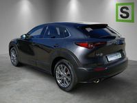 Gebraucht Mazda CX-30 Selection 179 PS (131 kW) 2019 Grau SUV