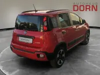 Gebraucht Fiat Panda Cross Cross 69 PS (50 kW) 2022 Rot Kleinwagen