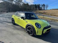 Gebraucht Mini Cooper 136 PS (100 kW) 2023 Kleinwagen