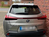 Gebraucht Lexus UX 250h Launch Edition 184 PS (135 kW) 2020 Silber SUV