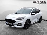 Gebraucht Ford Kuga ST-Line X 224 PS (164 kW) 2023 Weiss SUV