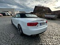 gebraucht Audi A5 Cabriolet S5 Optik Quattro 3.0