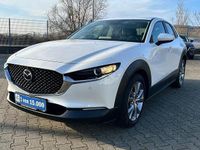 Gebraucht Mazda CX-30 Selection 122 PS (89 kW) 2020 Weiß SUV