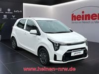 Neu Kia Picanto Vision 63 PS (46 kW) 2025 Andere Kleinwagen