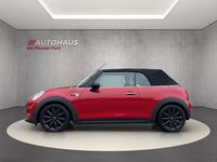 Gebraucht Mini Cooper Cabriolet Pepper 116 PS (85 kW) 2016 Rot Cabrio