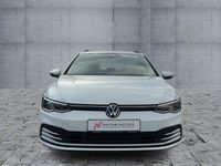 Gebraucht VW Golf VIII Life 116 PS (85 kW) 2024 Weiß Kombi