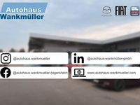 Gebraucht Fiat Panda 69 PS (50 kW) 2023 Weiß Kleinwagen