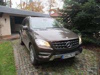 Gebraucht Mercedes ML250 204 PS (150 kW) 2012 Braun SUV