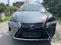 gebraucht Lexus NX300h 300h E-Four Excecutive Line