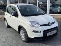 Gebraucht Fiat Panda 69 PS (50 kW) 2024 Weiß Kleinwagen
