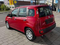 Neu Fiat Panda 69 PS (50 kW) 2025 Rot Kleinwagen