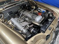 Gebraucht Mercedes W112 160 PS (117 kW) 1965 Gold Coupé